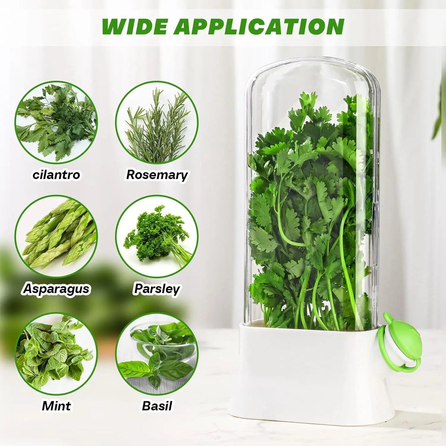 Herb Keeper Container – Fresh Herb Storage