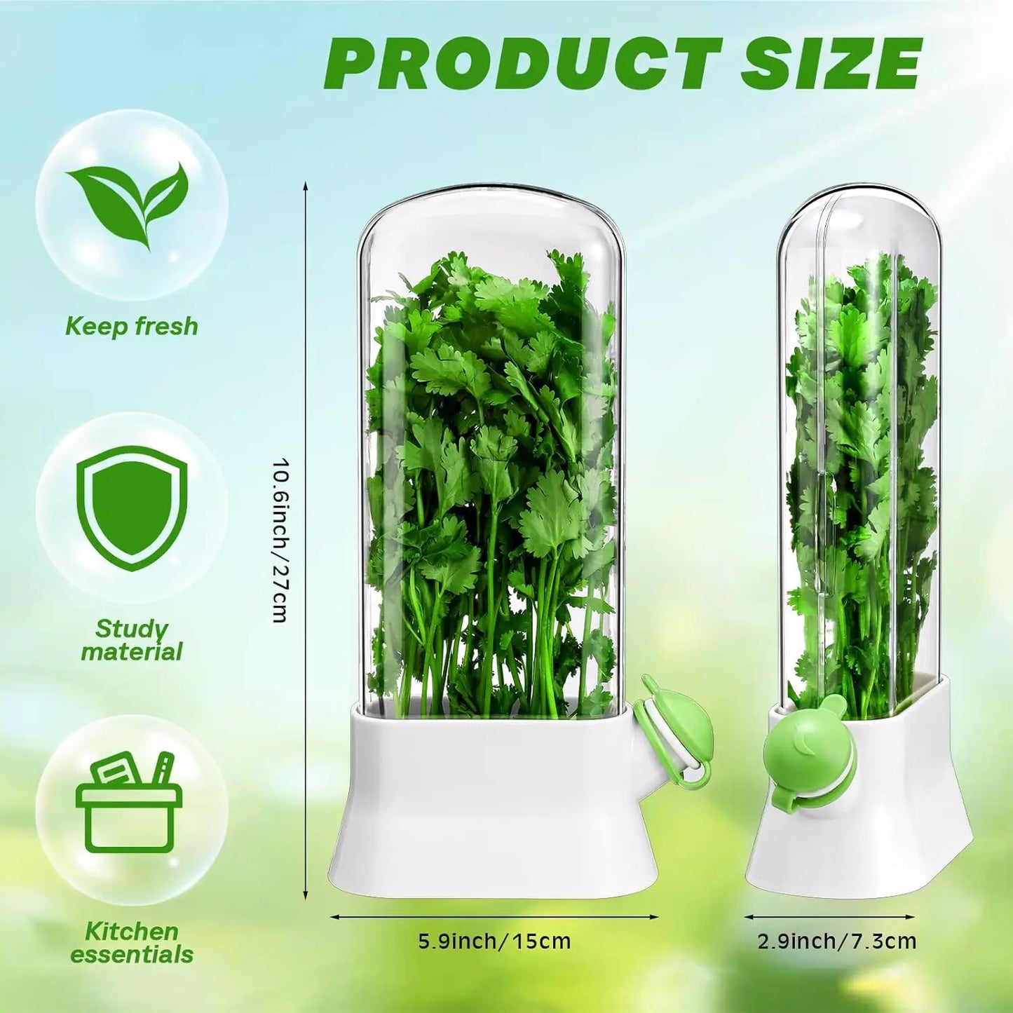 Herb Keeper Container – Fresh Herb Storage