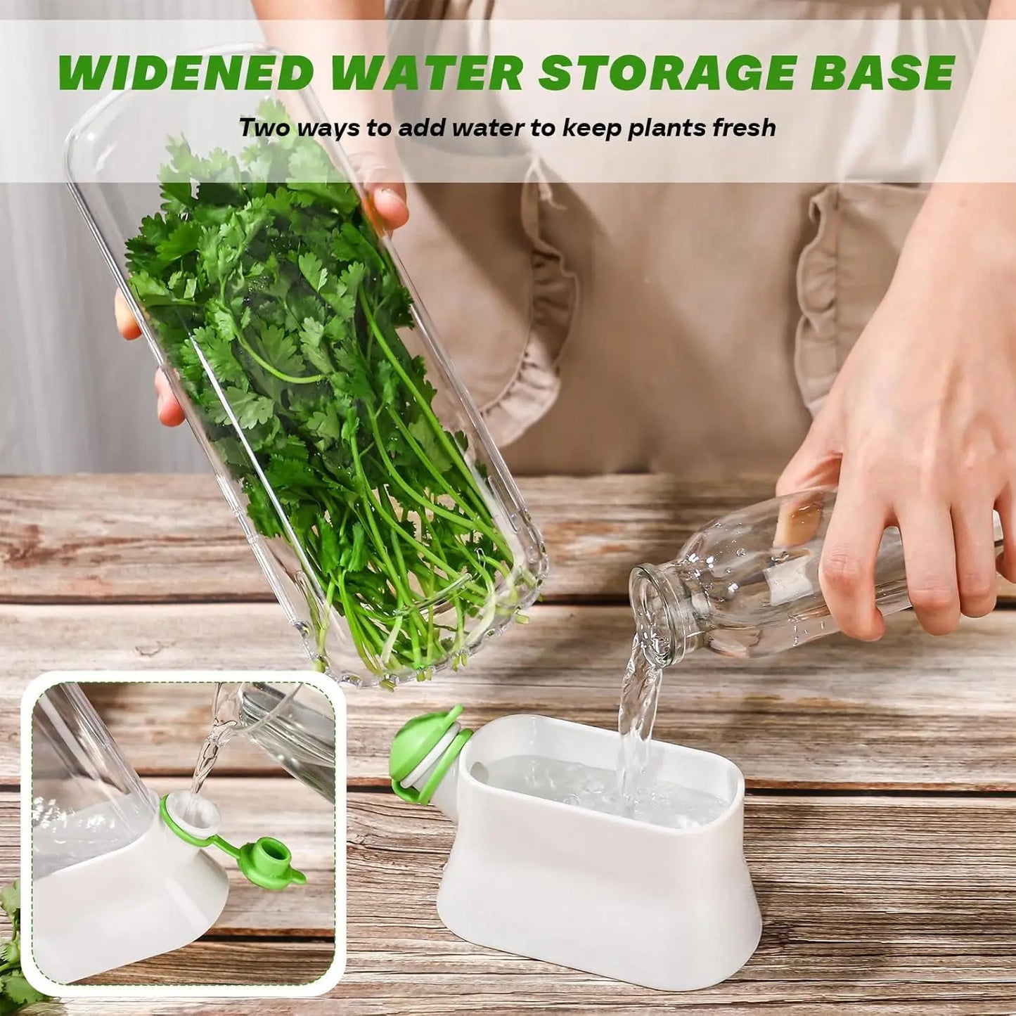 Herb Keeper Container – Fresh Herb Storage