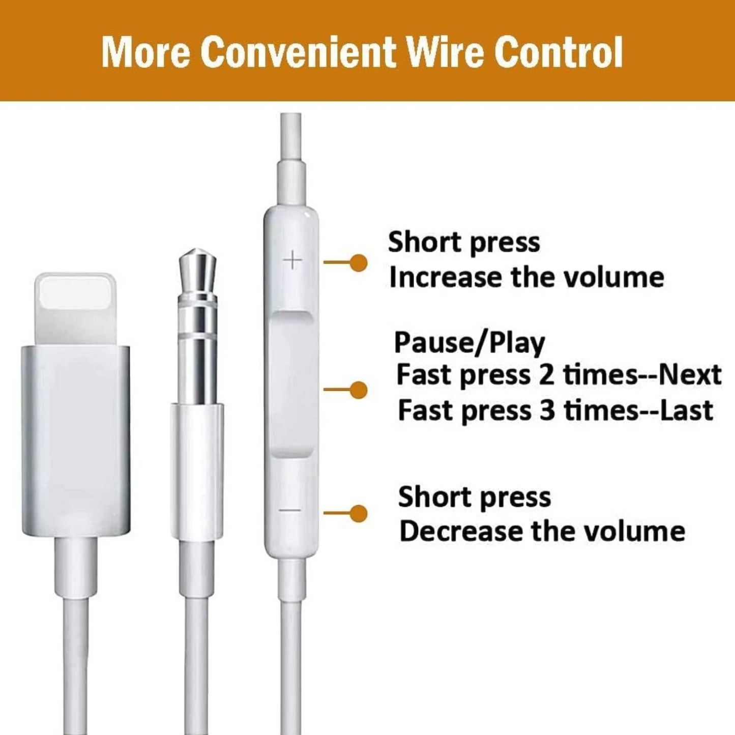 Lightning AUX Audio Cable
