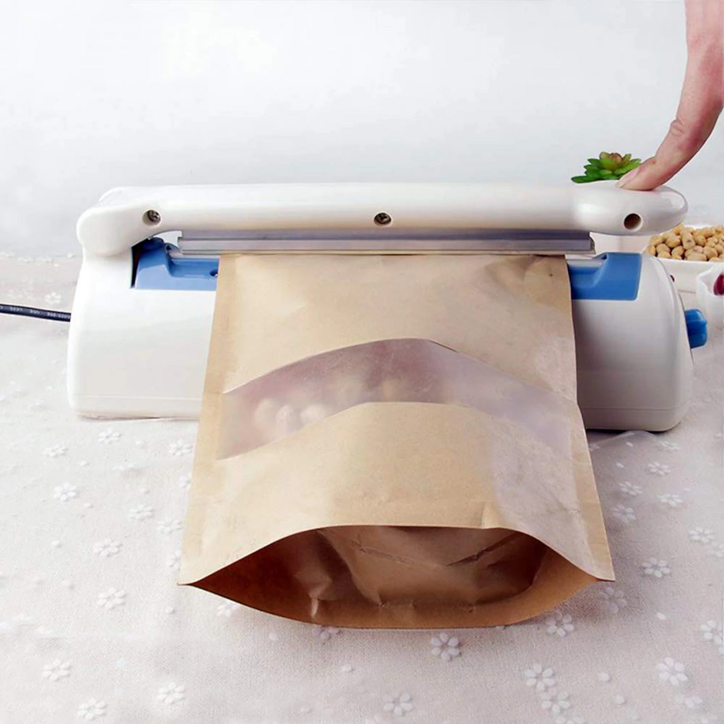 Plastic Bag Sealing Machine
